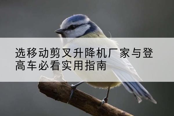 徐汇区电动升降机厂家-选移动剪叉升降机厂家与登高车必看实用指南