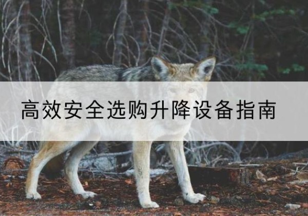 徐汇区升降货梯厂家推荐-*安全选购升降设备指南
