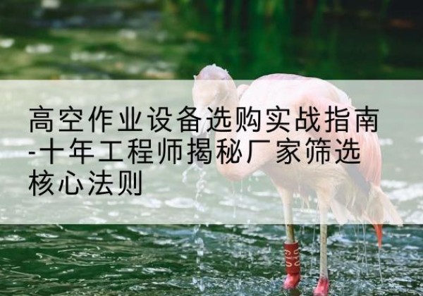 徐汇区剪叉式升降机厂家-高空作业设备选购实战指南-十年工程师揭秘厂家筛选核心法则